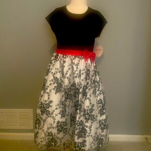 NWT Holiday dress. Beautiful detail. Great for family pics!